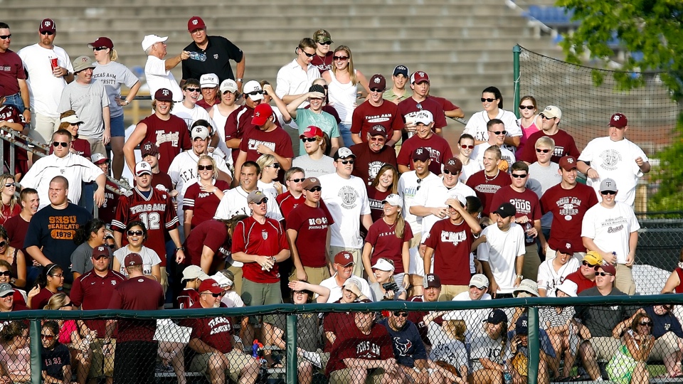 Supports at a sports game (Image by Keith Johnston from Pixabay)