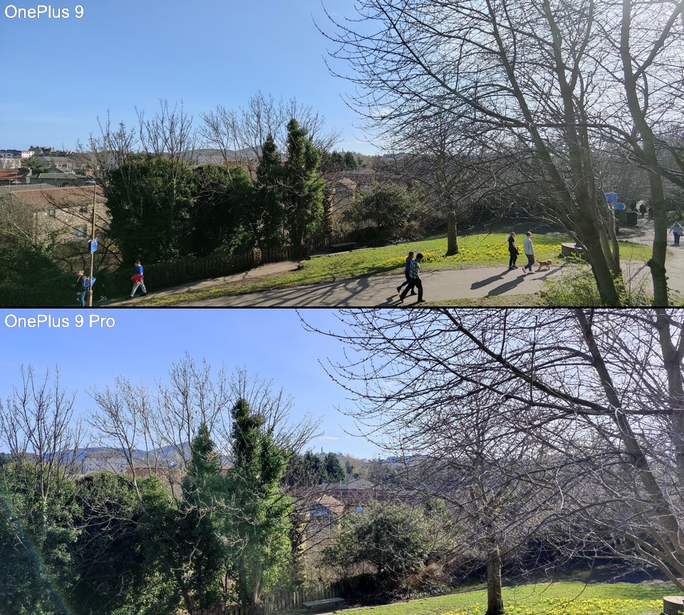 OnePlus 9 )top) and OnePlus 9 Pro (bottom) camera images (Ewan Spence)
