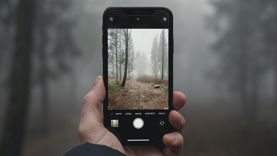 iPhone camera in misty forest (Fredrik Solli Wandem via Pixabay)